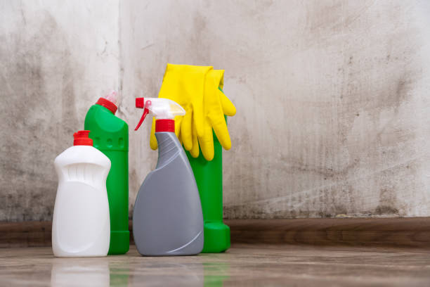 Trusted Sun Valley, PA Mold Removal Experts